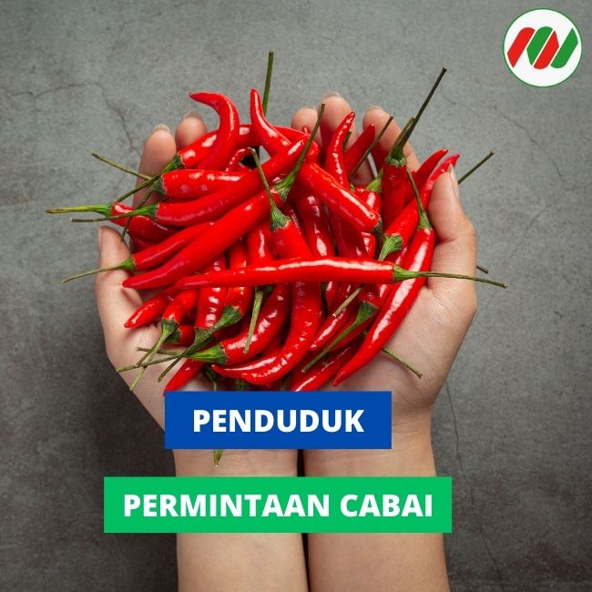 Penduduk Bertambah! Apakah Permintaan Cabai Bertambah?